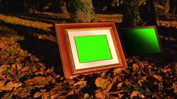 Фоторамки с пространством для дизайна, стоящие на сухих листьях — стоковое видео
