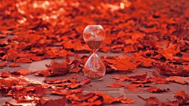 Прозорий пісочний годинник з блискітками серед опалого сухого листя — стокове відео