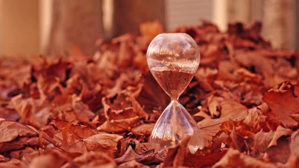 Verre de sable rempli de stands de sable doré parmi le tas de feuilles — Video