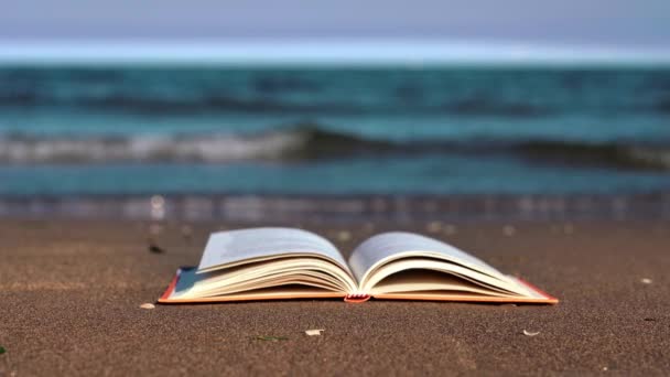 Paper book pages waved by light breeze put on wet sand — Stock Video