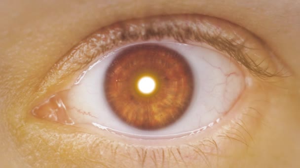 Eye pupil of woman becomes bright light glowing close view — Stock Video