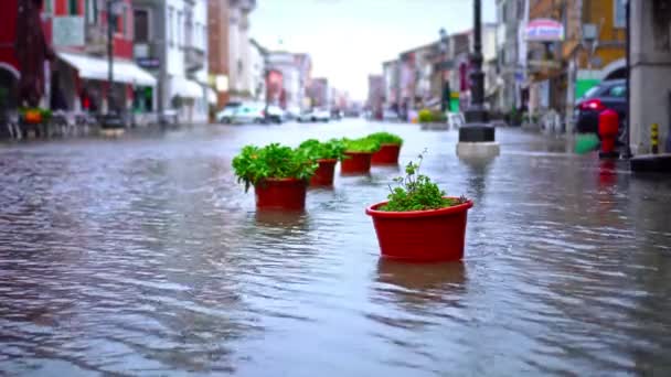 El agua de inundación de alto nivel destruye la calle de la ciudad italiana — Vídeo de stock