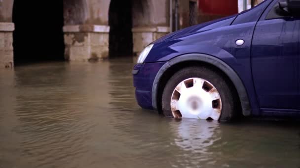 Ruedas de coche de pie en alta agua después de fuertes inundaciones en la calle — Vídeos de Stock