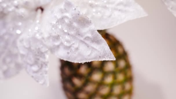人造的白色闪光装饰树叶和菠萝 — 图库视频影像