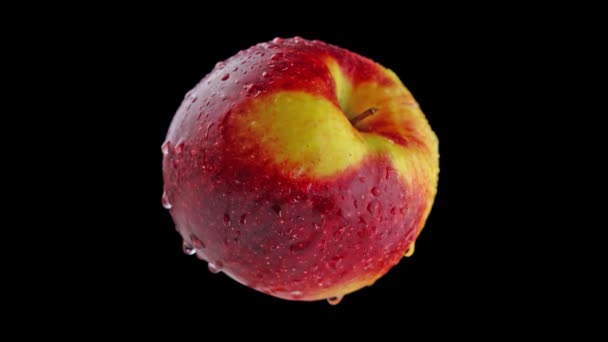 Jabłko obraca się na czarnym tle — Wideo stockowe