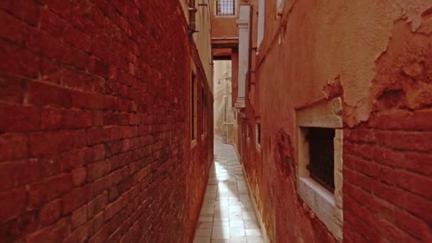 旧砖墙之间的鹅卵石人行道 — 图库视频影像