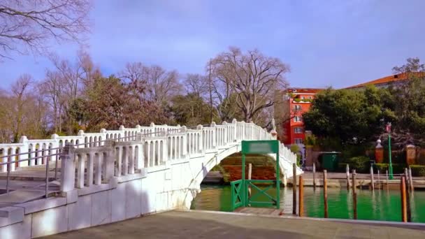 Smalle witte brug over het kanaal met groen water in Venetië — Stockvideo