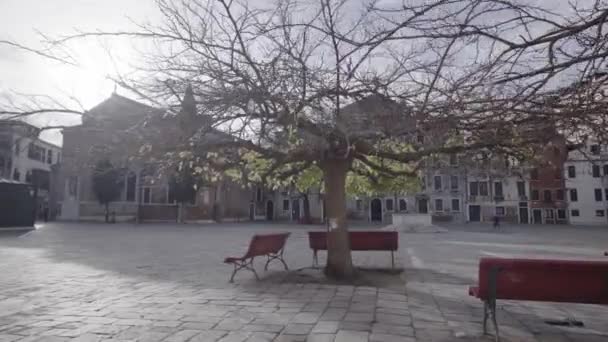 Deserted lockdown Venice city square with branched bare tree — Stock Video