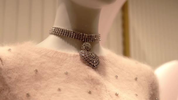 Элегантное ожерелье с подвеской и свитером в магазине моды — стоковое видео