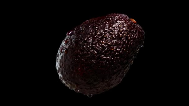 Nasse und reife Avocado rotiert auf schwarzem Hintergrund — Stockvideo