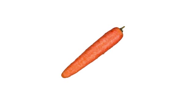 Смачна апельсинова морква без листя на білому тлі — стокове відео
