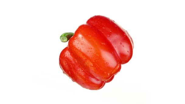 Čerstvá červená paprika se zeleným stonkem se otáčí na bílém — Stock video