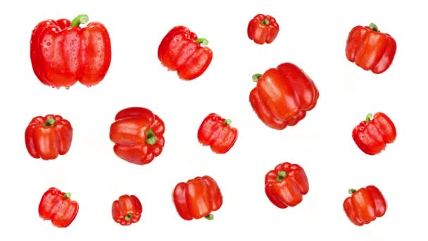 Συλλογή από κόκκινες πιπεριές με σταγόνες νερού στο λευκό — Αρχείο Βίντεο