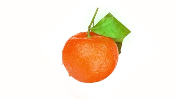 Dallı ve yapraklı lezzetli mandalina bembeyaz olur — Stok video