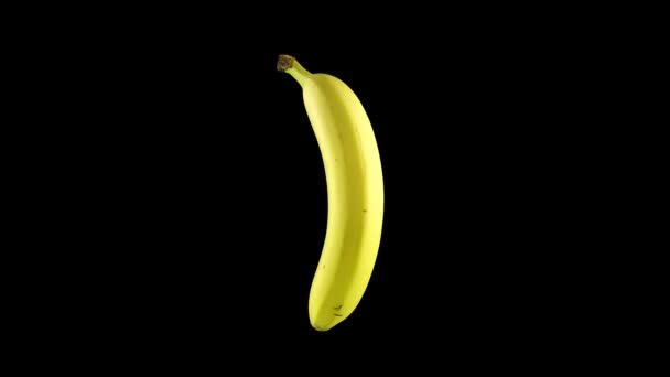 Banane jaune tourne sur un fond noir — Video