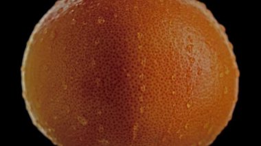 Lezzetli portakal, su damlalarıyla ıslanmış.