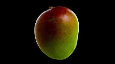 Yarım olgun mango izole edilmiş siyah arkaplanda döner