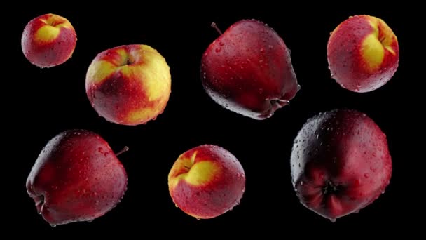 Κόκκινα μήλα σε μαύρο φόντο — Αρχείο Βίντεο
