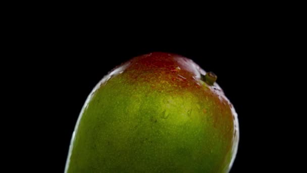 Groen en rood mango op zwarte achtergrond — Stockvideo