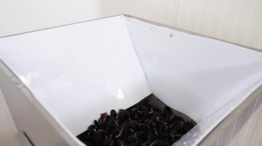 Lezzetli ve çiğ midyeli büyük beyaz konteynır.