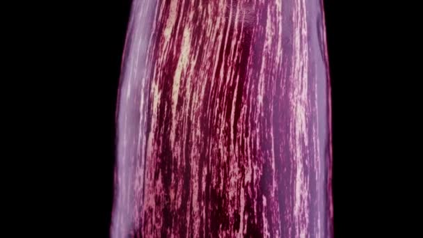 Vaso rayado púrpura gira de cerca sobre fondo negro — Vídeo de stock