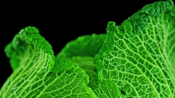 Tasty green leaves of cabbage on black background — Stock Video