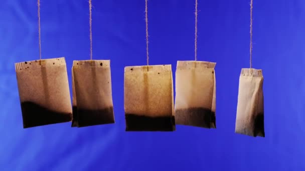 Grupo de sacos de chá usados com saborosa bebida à base de plantas em azul profundo — Vídeo de Stock