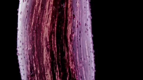 Пурпурный полосатый яйцо крутится близко на черном фоне — стоковое видео