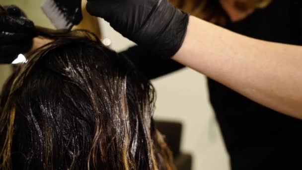 Donna in guanti applica vernice sulla signora capelli client con pennello — Video Stock