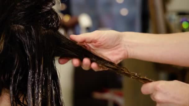 Frisör sprider lotion på hårlock i skönhetssalong — Stockvideo