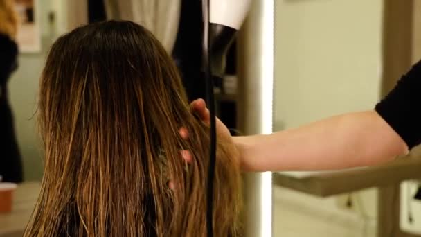 Тщательный мастер сушит волосы клиента современным оборудованием — стоковое видео