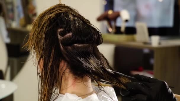 美容師はサロンでブラシで女性の髪にペイントを適用します — ストック動画