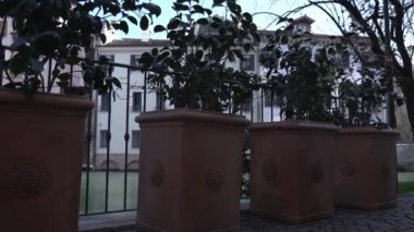 Mimari yapıya karşı ağaçlarla tasarlanmış saksılar.