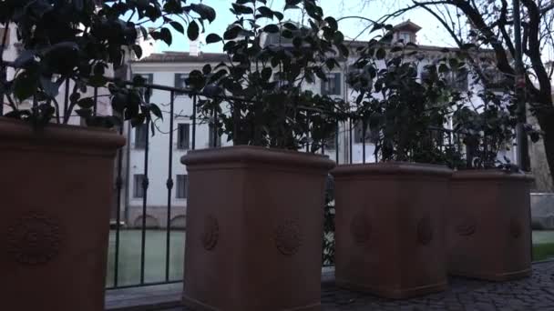 Vase proiectate cu copaci împotriva reperelor arhitecturale — Videoclip de stoc