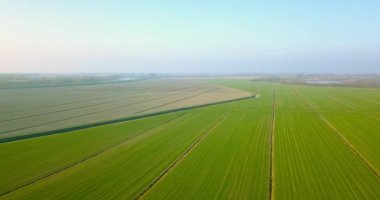 Endless vegetable field plots of green and brown colours