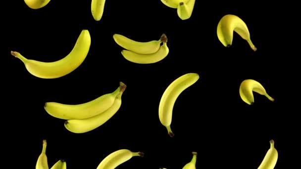 Gustose banane gialle cadono su sfondo nero isolato — Video Stock