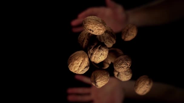 Person throws delicious brown walnuts up and catches macro — Stock Video