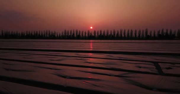 Movimiento a lo largo de campos vegetales ilimitados bajo lámina gruesa — Vídeos de Stock