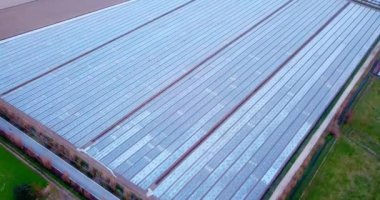 Kalın plastik folyo altında sınırsız sebze seraları