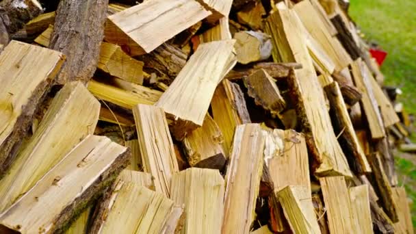 Large yellow brown firewood logs heap lies on green grass — Stock Video