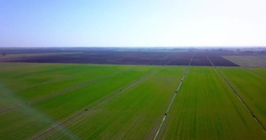 Dar sulama kanalları ve zemin yolları olan yeşil alan