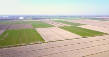 Sınırsız saban ve kare şeklinde yeşil filizlenen tarlalar.