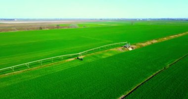 Filizlenen bitkiler ve sulama sistemleri olan yerel alanlar