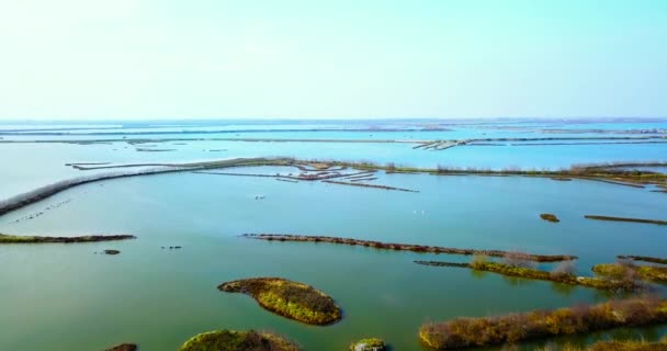 Laguna veneciana de color turquesa con franjas de tierra de hierba marrón alta — Vídeo de stock