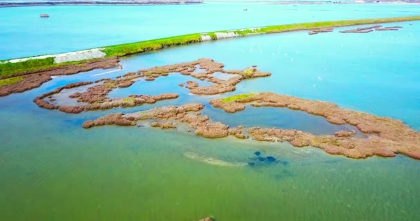 Laguna veneciana turquesa poco profunda con formaciones insulares — Vídeos de Stock
