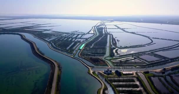 Movimiento sobre bahía de marea ilimitada con carretera asfaltada estrecha — Vídeos de Stock