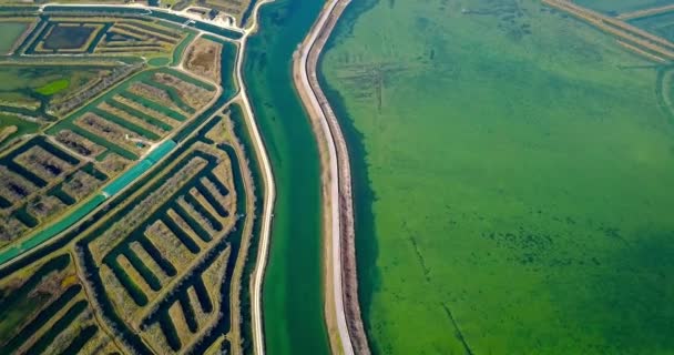 Asfaltweg verdeelt lagune met algenbloei en polders — Stockvideo