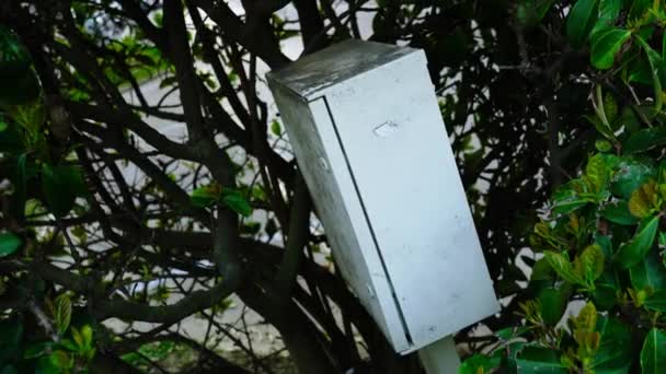 Caja transformadora de metal blanco situada entre hojas de árbol verdes — Vídeo de stock