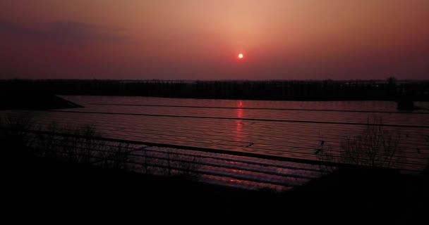 Movimento sobre estufas de campo de vegetais infinitas ao pôr do sol — Vídeo de Stock