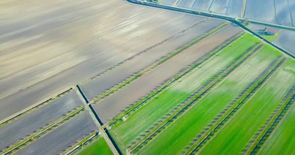 Terreno agrícola com canteiros e campos de horta — Vídeo de Stock